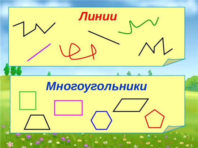 Линии Многоугольники 