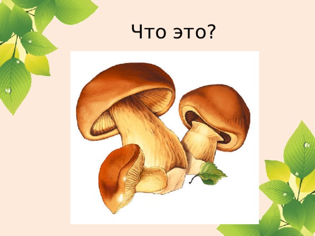 Что это? Глубоко был спрятан он, Раз-два-три - и вышел вон, И стоит он на виду. Белый, я тебя найду. 