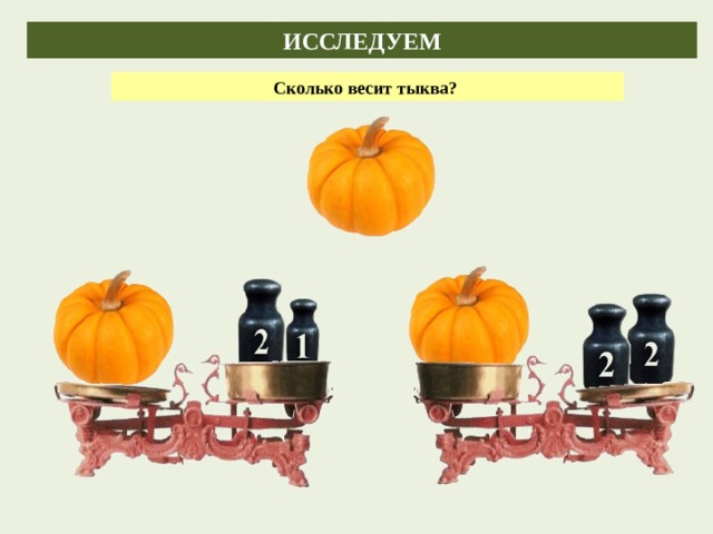 ИССЛЕДУЕМ ИССЛЕДУЕМ Сколько весит тыква? 
