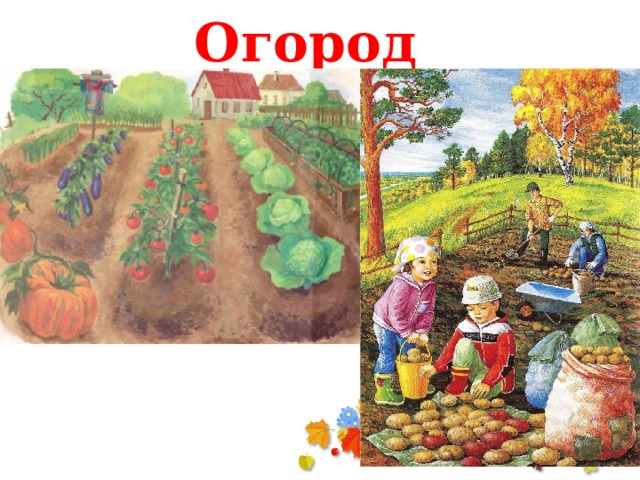Огород 