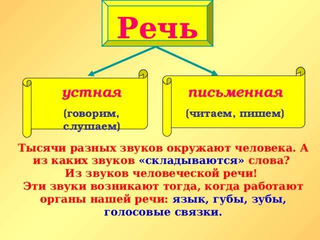 Речь устная (говорим, слушаем)  письменная (читаем, пишем) Тысячи разных звуков окружают человека. А из каких звуков «складываются» слова?  Из звуков человеческой речи!  Эти звуки возникают тогда, когда работают органы нашей речи: язык, губы, зубы, голосовые связки. 