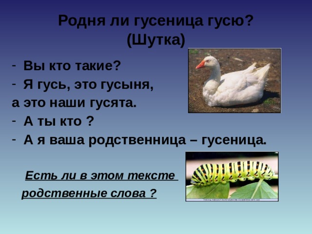 Родня ли гусеница гусю?  (Шутка) Вы кто такие? Я гусь, это гусыня, а это наши гусята. А ты кто ? А я ваша родственница – гусеница.   Есть ли в этом тексте  родственные слова ?  