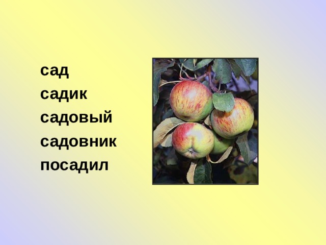 сад садик садовый садовник посадил 