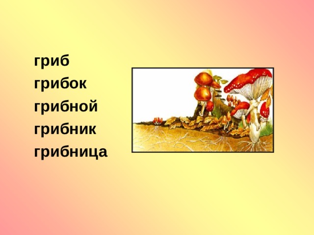 гриб грибок грибной грибник грибница 