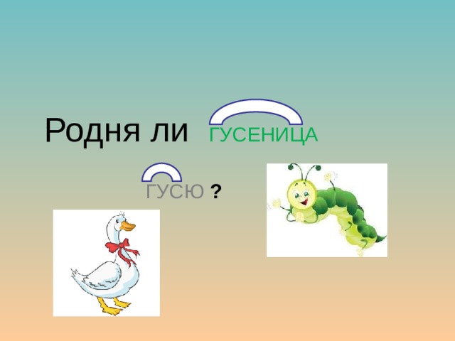  Родня ли ГУСЕНИЦА  ГУСЮ ?  