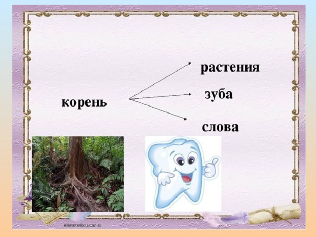Родственные слова  Корень слова 