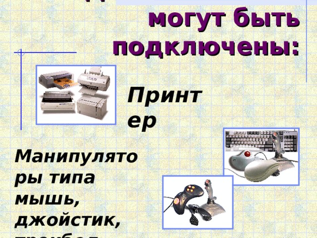 Дополнительно могут быть подключены: Принтер Манипуляторы типа мышь, джойстик, трекбол 