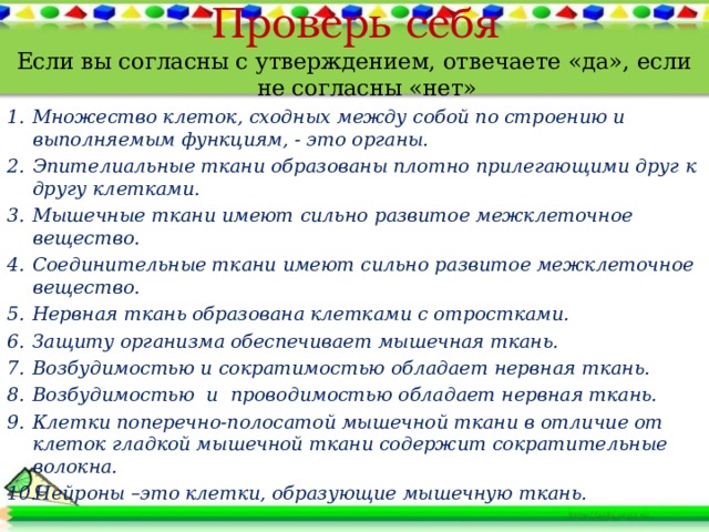 Проверь себя Если вы согласны с утверждением, отвечаете «да», если не согласны «нет» Множество клеток, сходных между собой по строению и выполняемым функциям, - это органы. Эпителиальные ткани образованы плотно прилегающими друг к другу клетками. Мышечные ткани имеют сильно развитое межклеточное вещество. Соединительные ткани имеют сильно развитое межклеточное вещество. Нервная ткань образована клетками с отростками. Защиту организма обеспечивает мышечная ткань. Возбудимостью и сократимостью обладает нервная ткань. Возбудимостью и проводимостью обладает нервная ткань. Клетки поперечно-полосатой мышечной ткани в отличие от клеток гладкой мышечной ткани содержит сократительные волокна. Нейроны –это клетки, образующие мышечную ткань. 
