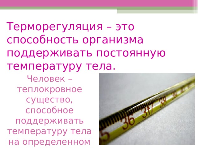 Терморегуляция – это способность организма поддерживать постоянную температуру тела. Человек – теплокровное существо, способное поддерживать температуру тела на определенном уровне. 