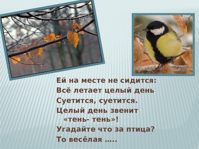 Ей на месте не сидится: Всё летает целый день Суетится, суетится. Целый день звенит «тень- тень»! Угадайте что за птица? То весёлая ….. 