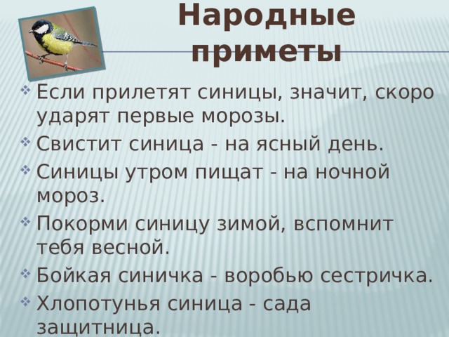 Народные приметы Если прилетят синицы, значит, скоро ударят первые морозы. Свистит синица - на ясный день. Синицы утром пищат - на ночной мороз. Покорми синицу зимой, вспомнит тебя весной. Бойкая синичка - воробью сестричка. Хлопотунья синица - сада защитница . 