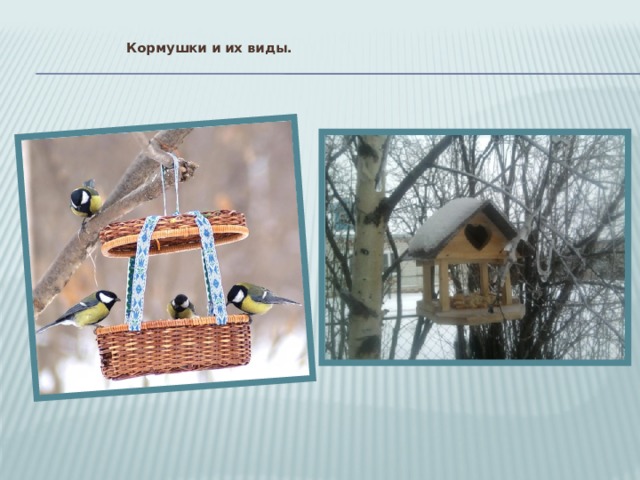  Кормушки и их виды.   