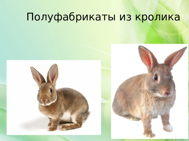 Полуфабрикаты из кролика 