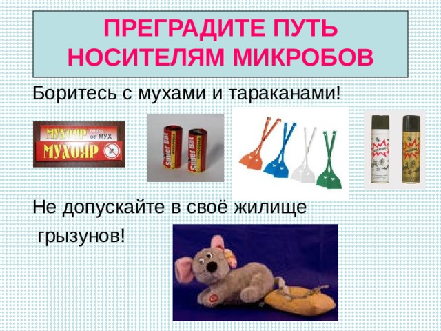 ПРЕГРАДИТЕ ПУТЬ НОСИТЕЛЯМ МИКРОБОВ  Боритесь с мухами и тараканами!  Не допускайте в своё жилище  грызунов! 