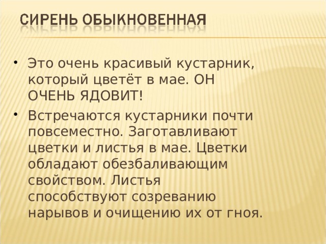 Это очень красивый кустарник, который цветёт в мае. ОН ОЧЕНЬ ЯДОВИТ! Встречаются кустарники почти повсеместно. Заготавливают цветки и листья в мае. Цветки обладают обезбаливающим свойством. Листья способствуют созреванию нарывов и очищению их от гноя. 