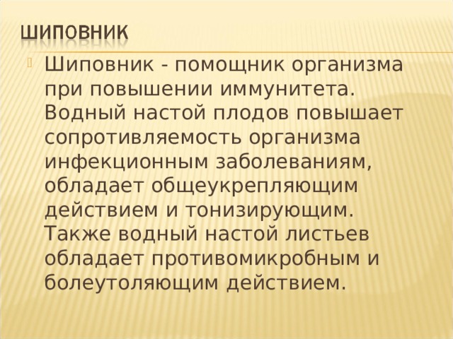 Шиповник - помощник организма при повышении иммунитета. Водный настой плодов повышает сопротивляемость организма инфекционным заболеваниям, обладает общеукрепляющим действием и тонизирующим. Также водный настой листьев обладает противомикробным и болеутоляющим действием. 