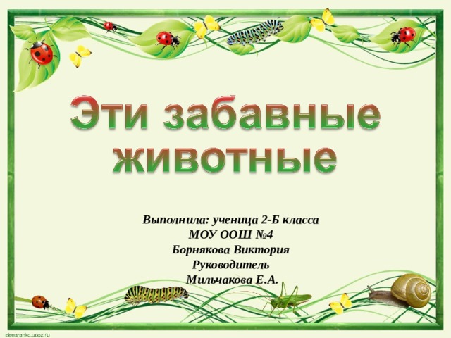 Выполнила: ученица 2-Б класса МОУ ООШ №4 Борнякова Виктория Руководитель  Мильчакова Е.А.  