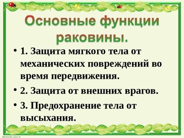 1. Защита мягкого тела от механических повреждений во время передвижения. 2. Защита от внешних врагов. 3. Предохранение тела от высыхания.  