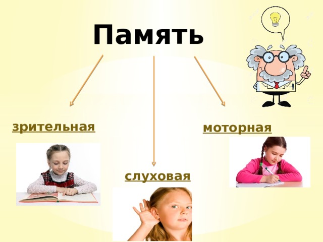 Память зрительная моторная слуховая 
