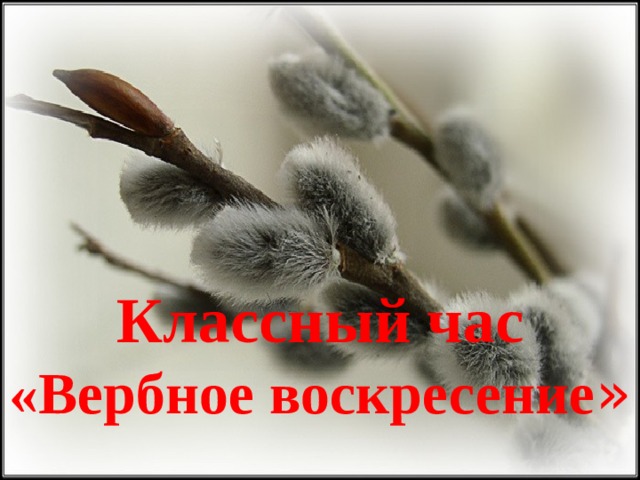 Классный час «Вербное воскресение » 
