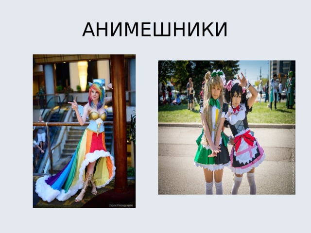 АНИМЕШНИКИ 