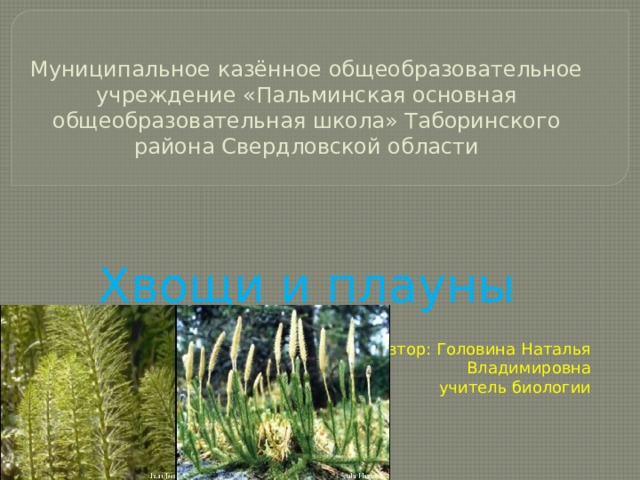 Муниципальное казённое общеобразовательное учреждение «Пальминская основная общеобразовательная школа» Таборинского района Свердловской области      Хвощи и плауны Автор: Головина Наталья Владимировна учитель биологии 