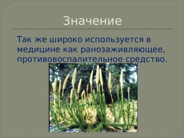 Значение Так же широко используется в медицине как ранозаживляющее, противовоспалительное средство. 