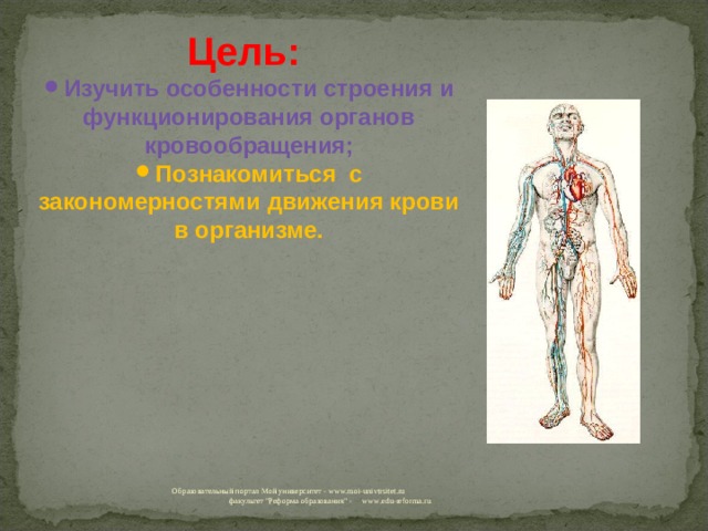 Образовательный портал Мой университет - www.moi-universitet.ru факультет 
