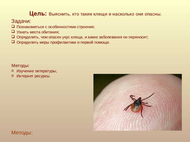 Цель: Выяснить, кто такие клещи и насколько они опасны. Задачи: Познакомиться с особенностями строения; Узнать места обитания; Определить, чем опасен укус клеща, и какие заболевания он переносит; Определить меры профилактики и первой помощи. Методы: Изучение литературы; Интернет ресурсы. Методы: