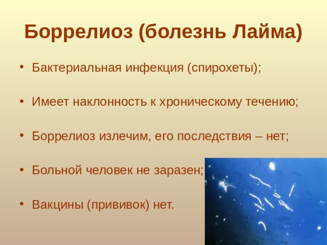 Боррелиоз (болезнь Лайма)