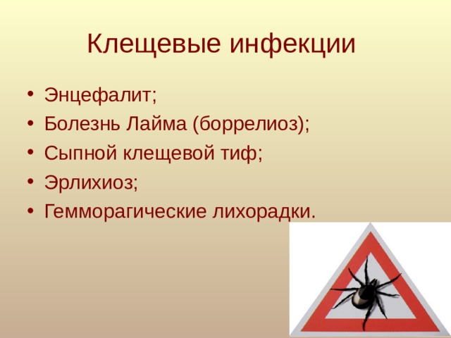 Клещевые инфекции
