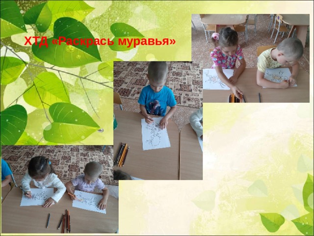 ХТД «Раскрась муравья» 