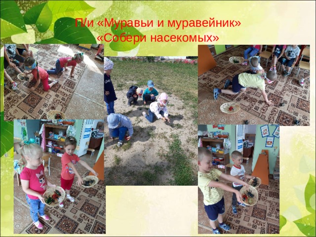 П/и «Муравьи и муравейник»  «Собери насекомых» 