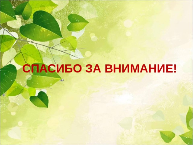 СПАСИБО ЗА ВНИМАНИЕ! 