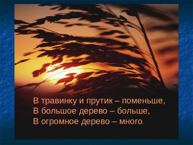 В травинку и прутик – поменьше, В большое дерево – больше, В огромное дерево – много . 