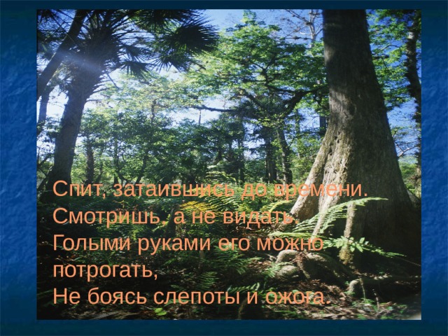 Спит, затаившись до времени. Смотришь, а не видать. Голыми руками его можно потрогать, Не боясь слепоты и ожога. 