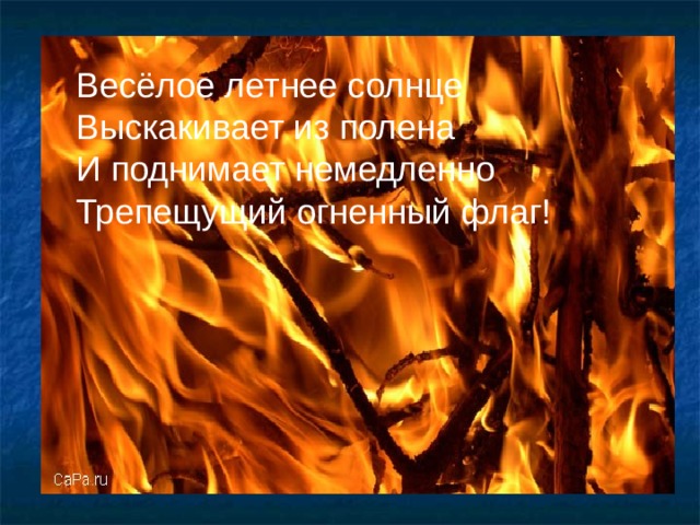 Весёлое летнее солнце Выскакивает из полена И поднимает немедленно Трепещущий огненный флаг! 