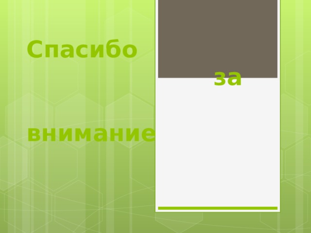  Спасибо  за  внимание   