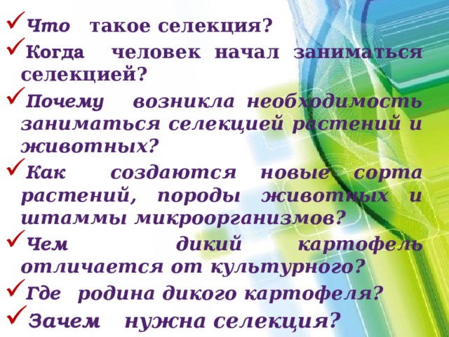 Что  такое селекция? Когда человек начал заниматься селекцией? Почему  возникла необходимость заниматься селекцией растений и животных?  Как  создаются новые сорта растений, породы животных и штаммы микроорганизмов?  Чем  дикий картофель отличается от культурного?  Где  родина дикого картофеля?  Зачем  нужна селекция?  