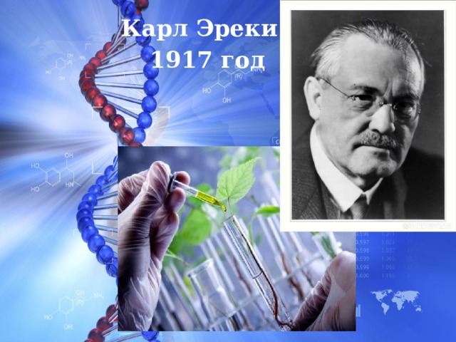 Карл Эреки  1917 год 