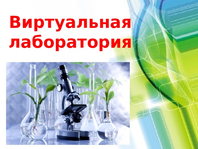 Виртуальная  лаборатория 