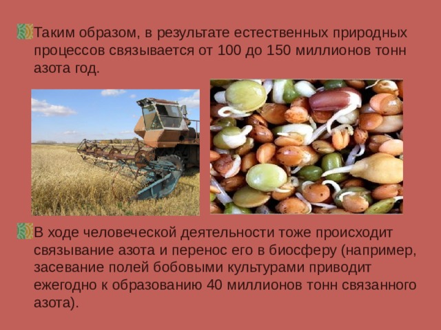 Таким образом, в результате естественных природных процессов связывается от 100 до 150 миллионов тонн азота год. В ходе человеческой деятельности тоже происходит связывание азота и перенос его в биосферу (например, засевание полей бобовыми культурами приводит ежегодно к образованию 40 миллионов тонн связанного азота).