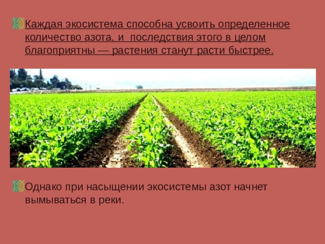 Каждая экосистема способна усвоить определенное количество азота, и последствия этого в целом благоприятны — растения станут расти быстрее.