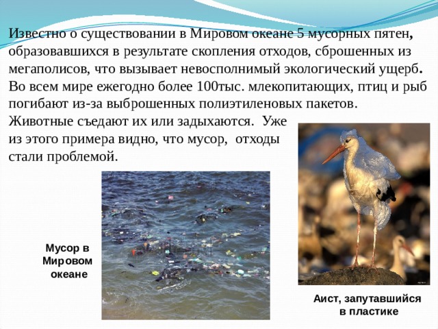 Мусор в  Мировом  океане Известно о существовании в Мировом океане 5 мусорных пятен , образовавшихся в результате скопления отходов, сброшенных из мегаполисов, что вызывает невосполнимый экологический ущерб . Во всем мире ежегодно более 100тыс. млекопитающих, птиц и рыб погибают  из-за выброшенных полиэтиленовых пакетов.  Животные съедают их или задыхаются. Уже  из этого примера видно, что мусор, отходы  стали проблемой.      Аист, запутавшийся  в пластике