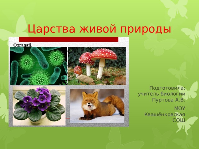 Царства живой природы Подготовила: учитель биологии Пуртова А.В. МОУ Квашёнковская СОШ 
