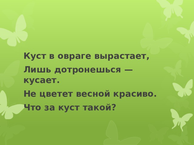 Куст в овраге вырастает, Лишь дотронешься — кусает. Не цветет весной красиво. Что за куст такой? 