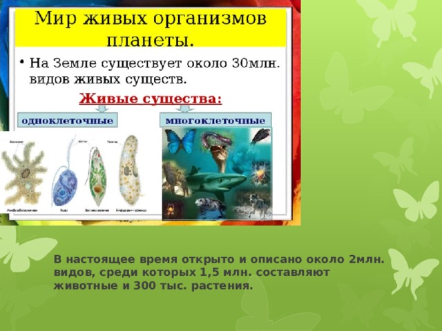 В настоящее время открыто и описано около 2млн. видов, среди которых 1,5 млн. составляют животные и 300 тыс. растения. 