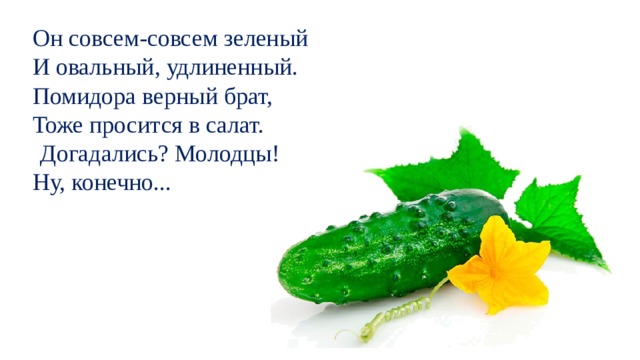 Он совсем-совсем зеленый И овальный, удлиненный. Помидора верный брат, Тоже просится в салат.   Догадались? Молодцы! Ну, конечно... 