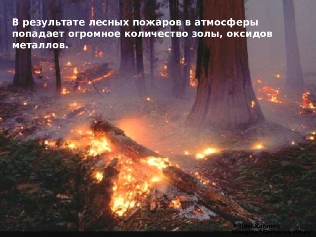 В результате лесных пожаров в атмосферы попадает огромное количество золы, оксидов металлов. © Ildar Karimov, Visagino “Geriosios vilties” secondary school 