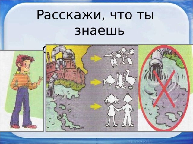 Расскажи, что ты знаешь  об охране воды. 